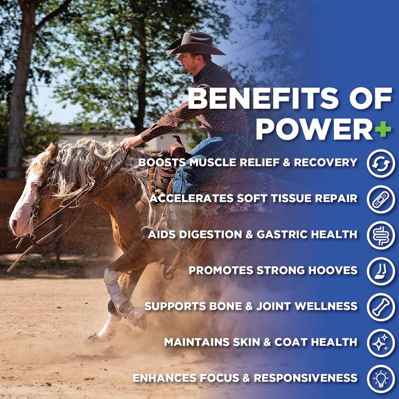 Power+ Horse Supplement (174g/0.38lbs - 30 Servings) - 9 Equine Amino Acids Plus Probiotics for Horses - No Added Sugar, No Soy, No Fillers - Horse Joint Support Supplement - BeesActive Australia