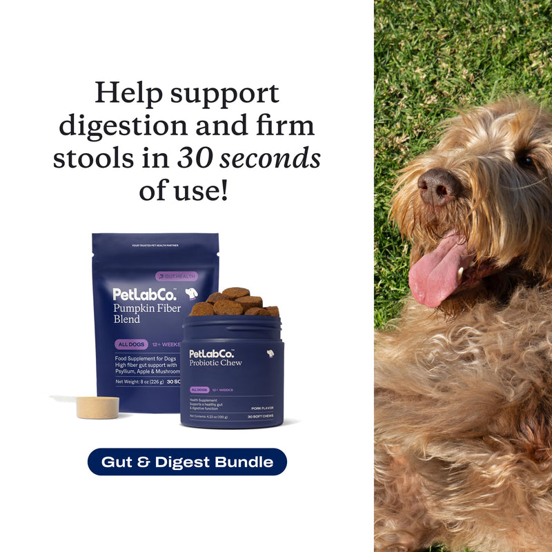 PetLab Co – Gut & Digest Bundle: Pumpkin Powder Blend for Firm Stools & Healthy Digestion. Pork-Flavored Probiotic Chews to Support Gut & Immune Health – Easy to Use – Advanced Formulas