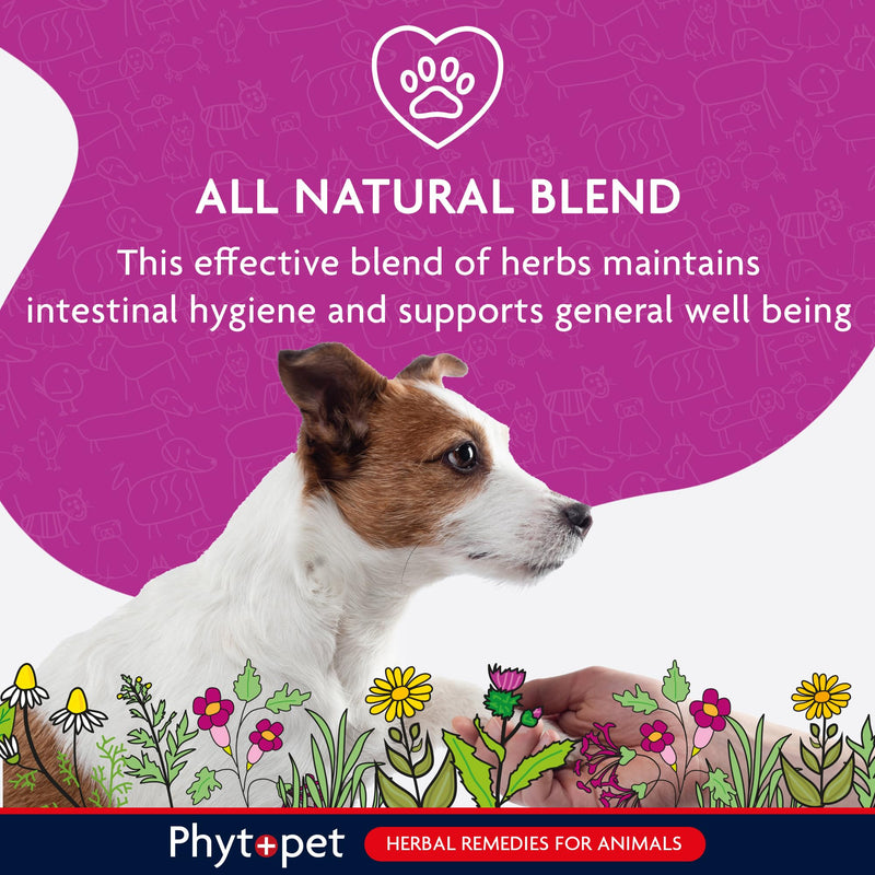 Phytopet Wormwood Complex, All Natural Pet Remedy Intestinal Hygiene, Health and Wellbeing, Herbal Supplements for Dogs and Cats, 30ml - 100% Herbal Phytopet Pet Supplies