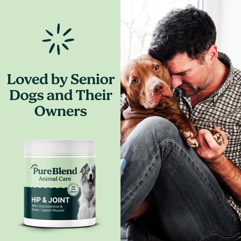 PureBlend Hip & Joint Soft Chews for Dogs — With Glucosamine, Chondroitin, Green Lipped Mussel & MSM — Joint Supplement for Dogs — 120 Chews, Up to 4 Month Supply