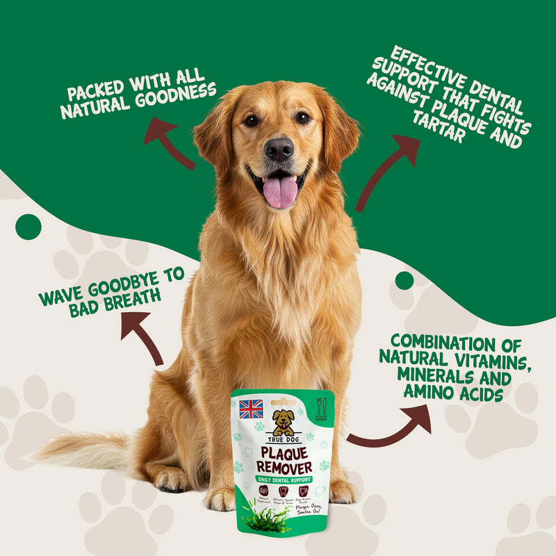 True Dog Plaque Remover (200g) Dog Breath Freshener with Spearmint and Seaweed for Dogs Teeth Helps Prevent Tartar Buildup, Digestive and Immune System Booster - Natural Pet Supplement