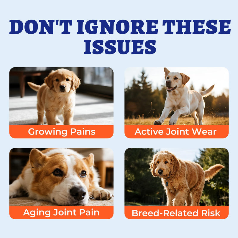 Wellix 260g Hip and Joint Supplements for Dogs - with Glucosamine for Dogs,Chondroitin & MSM - Support Dog Pain Relief Anti Inflammatory,Hip & Joint Care - Dog Vitamins and Supplements