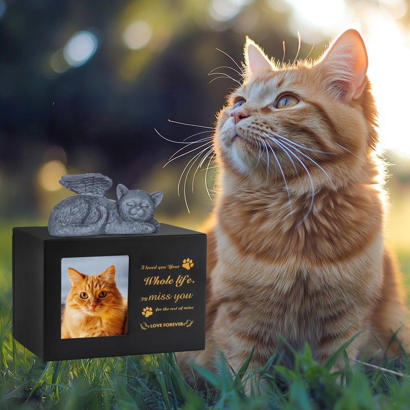 DiDiBirDi Animal urns for cats, pet cremation box, black cat urns made of wood for ashes, comes with a cat angel statue made of resin and a velvet bag for storing the ashes - BeesActive Australia