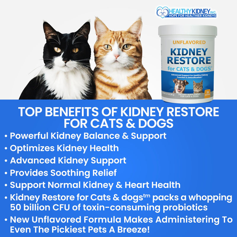 Kidney Restore Cats & Dogs Unflavored for Supporting Normal Kidney Function, Creatinine, Pet Renal Kidney Health Supplement Felines Canines 1 Pack - PawsPlanet Australia