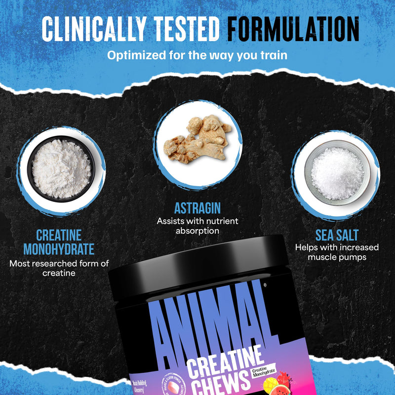 Animal Creatine Chews Tablets - Enhanced Creatine Monohydrate with AstraGin to Improve Absorption, Sea Salt for Added Pumps, Delicious and Convenient Chewable Tablets - Fruit Punch Creatine - Fruit Punch 120 Count (Pack of 1)