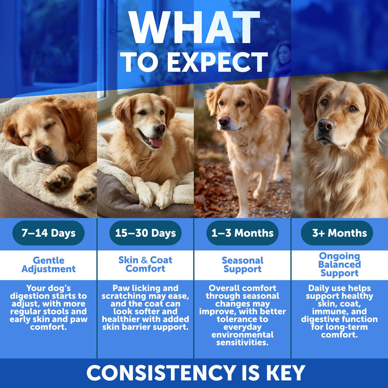 Dog Allergy Chews - Itchy Skin Relief for Dogs - 120 Chewable Soft Treats with Colostrum and Probiotics- Seasonal Allergies - Skin and Coat, Anti Itch, Hot Spots - Dog Allergy Relief Supplement 120 Allergy Support Chews
