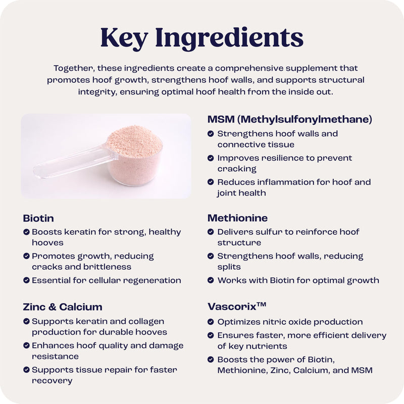 Summit Equine Hoof Strength Powder for Horses, Promotes Healthy Hooves with Biotin, Amino Acids, and Minerals, Horse Hoof Supplement,11 oz, 30-Day Supply