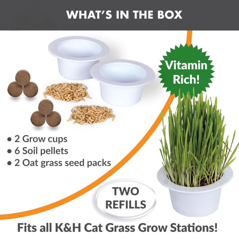 K&H Pet Products Cat Grass Grow Station Growing Cup Refills for K&H EZ Mount Products - Healthy Home Grown Grass Cat Toys for Bored Indoor Adult Cats, Farmed in USA, Non-GMO - Refill ONLY - 2 Pack - BeesActive Australia