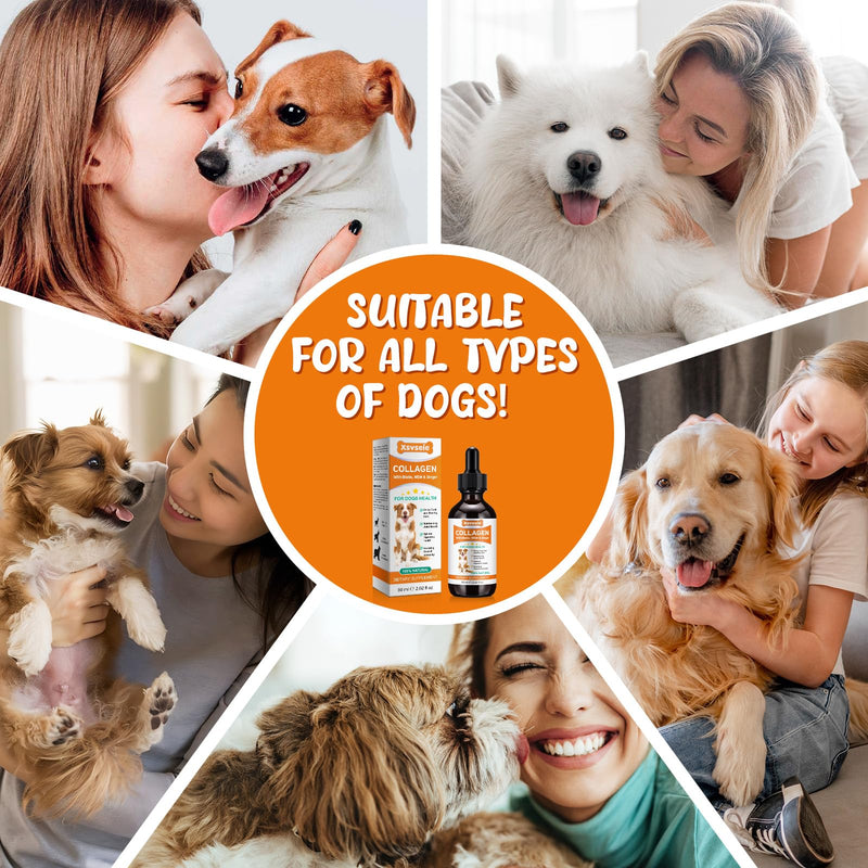 Collagen For Dogs, Liquid Collagen For Dogs, Helps With Shiny Coat And Skin Health & Joint Health & Digestive Health & Overall Immunity, Liquid Joint Care For Dog - Bacon Flavor 60ml