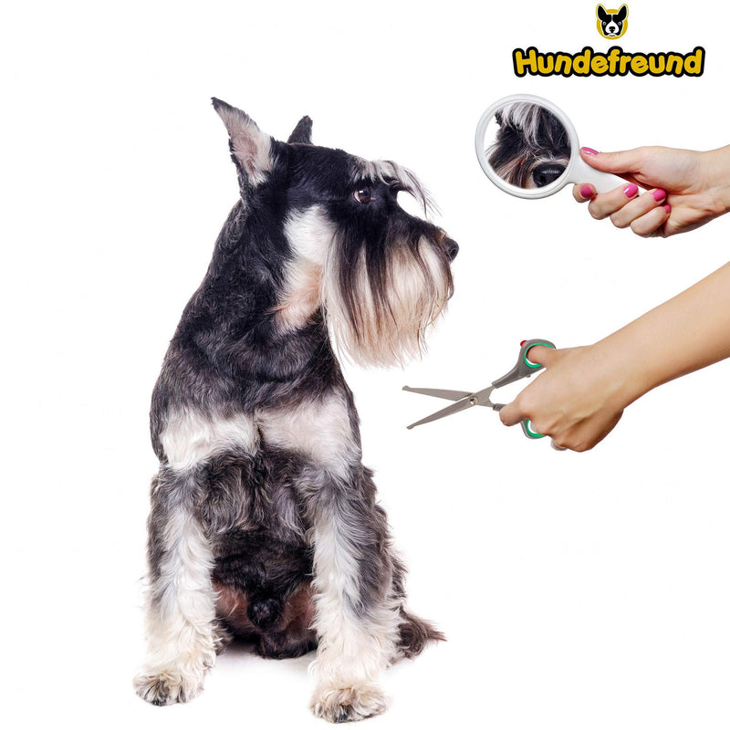 Hundefreund dog scissors set with thinning scissors for grooming | Stainless steel scissors with rounded tips for dog grooming - BeesActive Australia