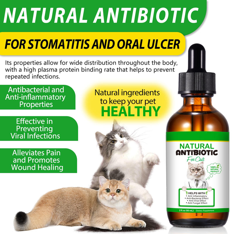 Antibiotics for Cats 60ml, Cat Antibiotics Liquid – with Apple Cider Vinegar, Echinacea & Goldenseal – Natural Support for Skin, Digestion, Respiratory & Ear Issues –Herbal Drops for Cats