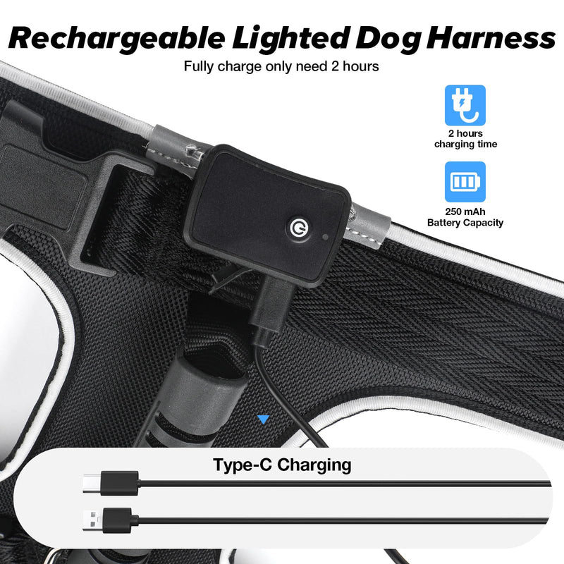 Light Up Dog Harness, 7 Color Changing LED Dog Harness, Rechargeable Rainproof Pet Harness for Night Walking, Adjustable Soft Padded Dog Vest, Glowing Dog Vest Harness for Medium and Large Dogs L - BeesActive Australia