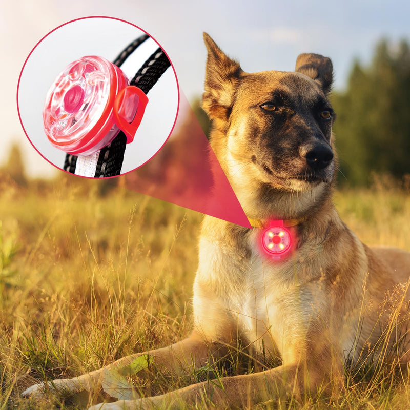 Pack of 4 safety pet lights, Sporgo LED flashing light for dogs, cats, USB rechargeable safety light, LED light pendant dog, waterproof pet lights with 3 flashing modes - BeesActive Australia