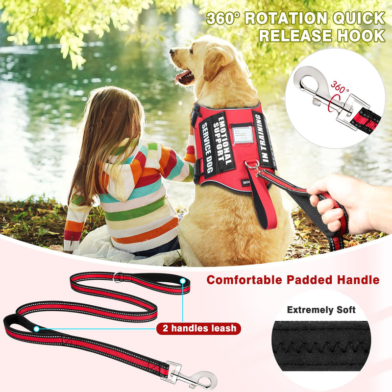 Service Dog Vest Harness and Leash Set+10 Patches,No Pull&Adjustable Reflective Dog Harness with Soft Padded Handle for Training/Everyday,Fit Small/Medium/Large/Extra-Large Dogs(Red L) Large Red - BeesActive Australia