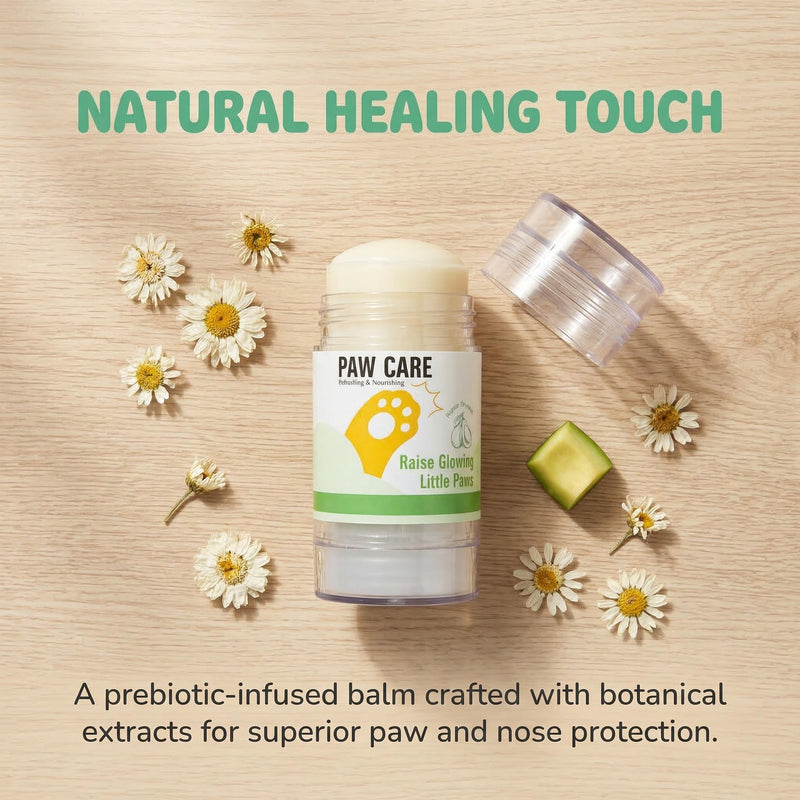 Prebiotic Dog nose balm, Natural lick safe Paw balm for dogs for itchy skin and supports your dogs Microbiome (Prebiotic Paw & Nose Balm)