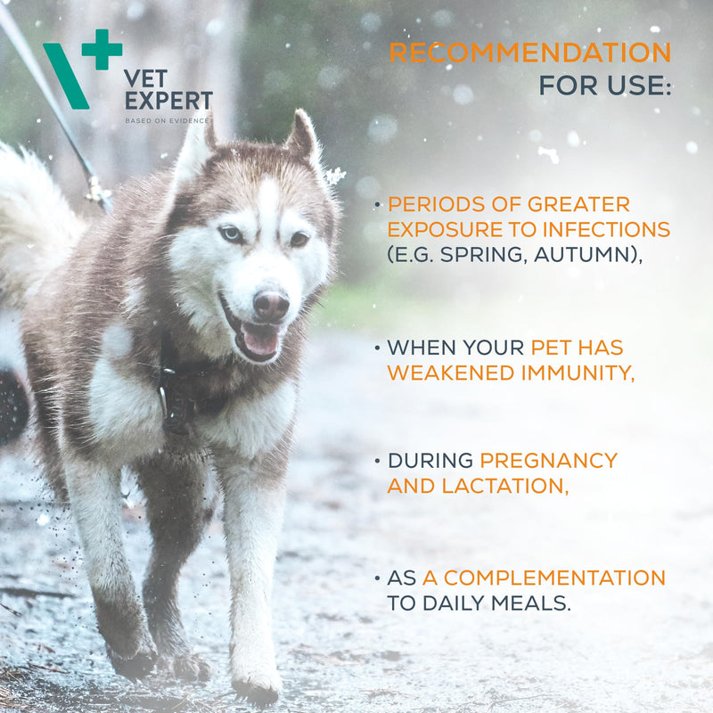 Vet Expert Immune System Support Supplement for Dogs and Cats – Boosts the Immune System with Beta-Glucan, HMB, and Echinacea Purpurea Extract – 30 Twist-Off Capsules