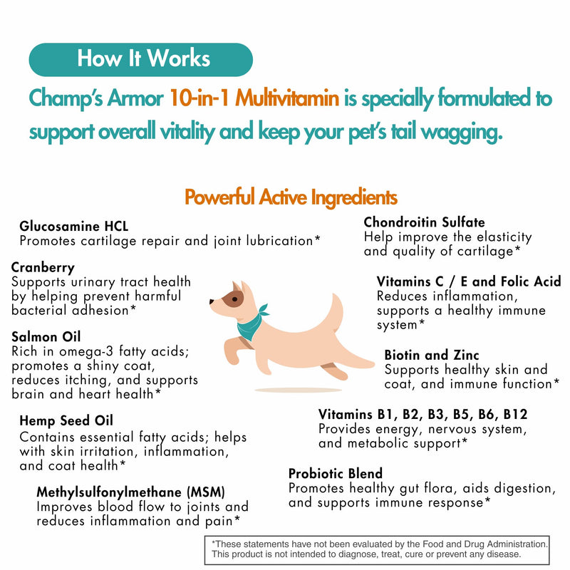 Dog Multivitamin Bundle - Champ's Armor Allergy & Immune Chews + 10-in-1 Supplement | Hip Joint, Skin Coat, Digestive Health Support for Dogs