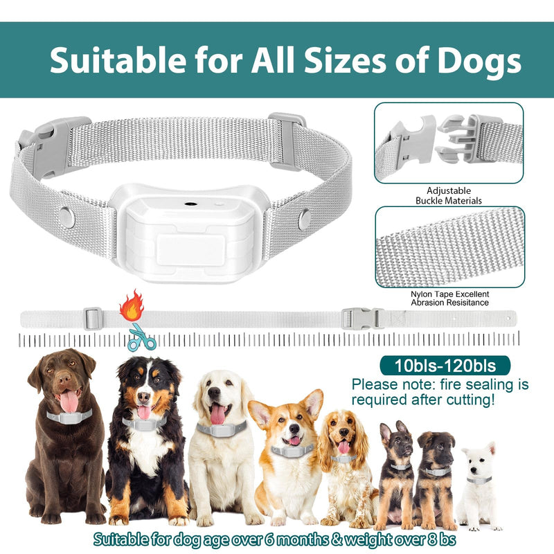 Citronella Dog Bark Collar [NO Spray Refill] Spray Dog Training Collar, Citronella Dog Barking Collars, Anti Barking Spray Collar for L/M/S Dogs Grey-21B - BeesActive Australia