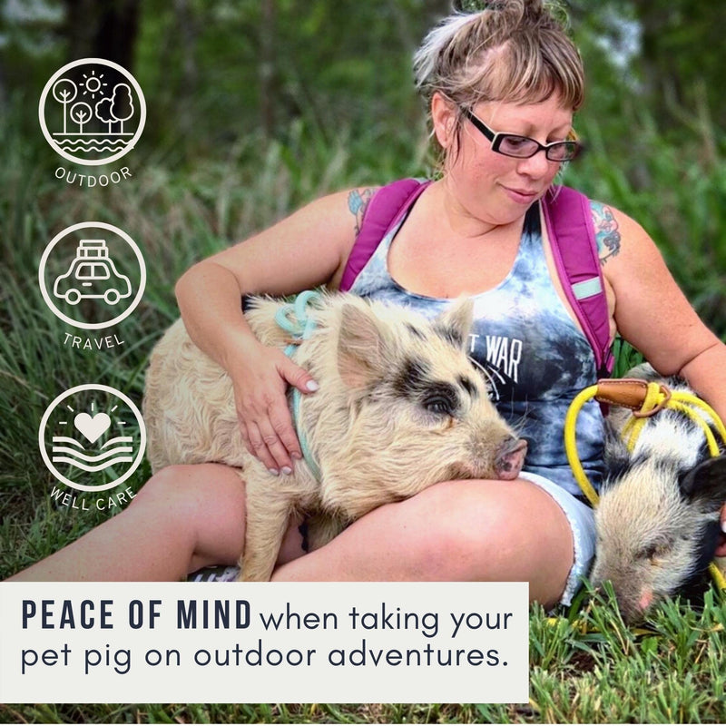 Pig Harness Leash-Fully Adjustable Pig Leash Harness for Small & Medium Pigs-Easy Step in Harness-Infinity Style Pet Pig Leash-Durable & Gentle Mini Pig Harness-Mini Pig Supplies (Small-Mauve Pink) Mauve Pink - BeesActive Australia