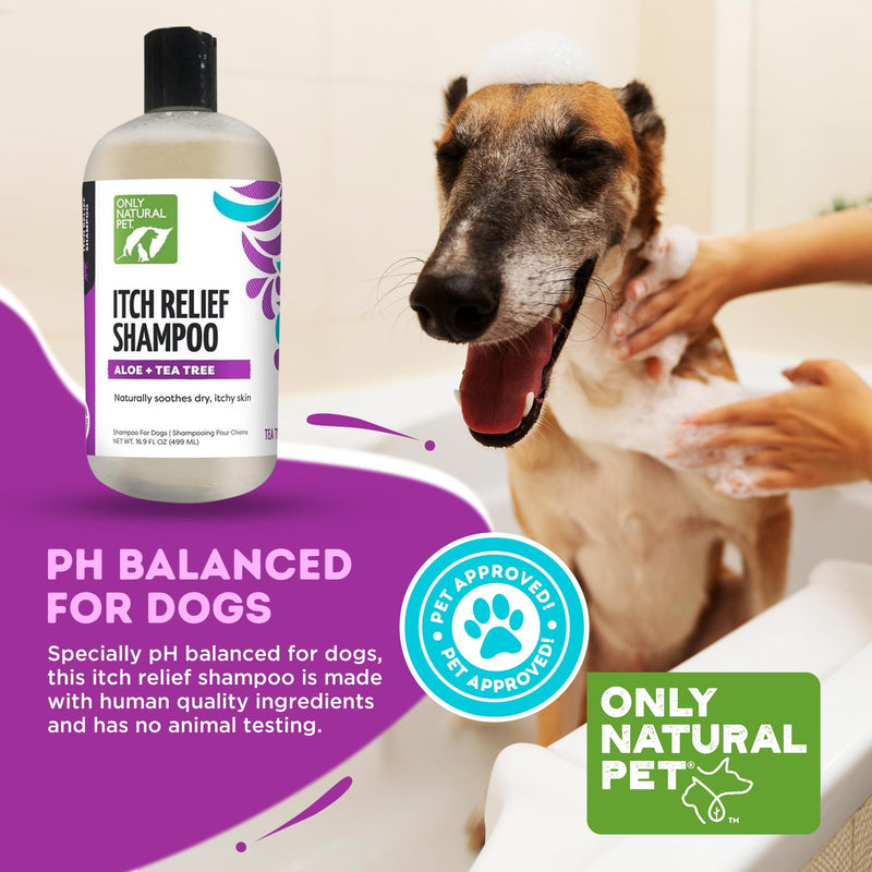 Only Natural Pet Itch Relief Shampoo with Aloe + Tea Tree for Dogs, Oatmeal Dog Shampoo for Dry Itchy Skin Allergies, Anti Itch Sensitive Skin No Sulfates, Parabens, Phosphates, Phthalates - 16.9 Oz 16.9 oz - Shampoo - PawsPlanet Australia