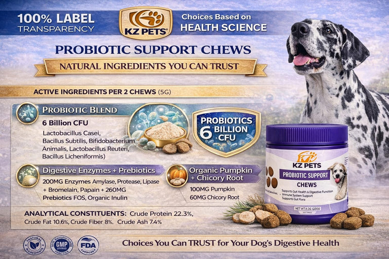Probiotic Support Chews for Dogs – 6 Billion CFU 5-Strain Dog Probiotic with Prebiotics & Digestive Enzymes – Gut Health, Digestive Support & Immune Support Supplement – 100 Soft Chews