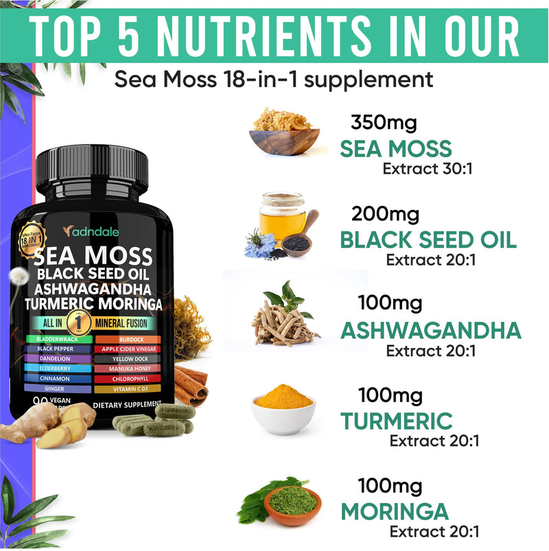 Adndale Sea Moss Capsules - Sea Moss Blend with Ashwagandha, Turmeric & Black Seed Oil - 90 Count 90 Count (Pack of 1)
