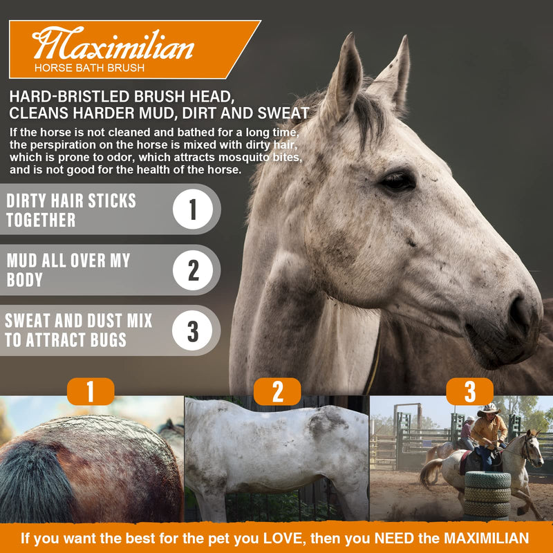 MAXIMILIAN World Class Handmade Equine Stiff Body Horse Brush. Professional Equine Grooming Tools. Effortlessly Removes Mud, Sweat and Dirt from Your Horses Hair. brown - BeesActive Australia