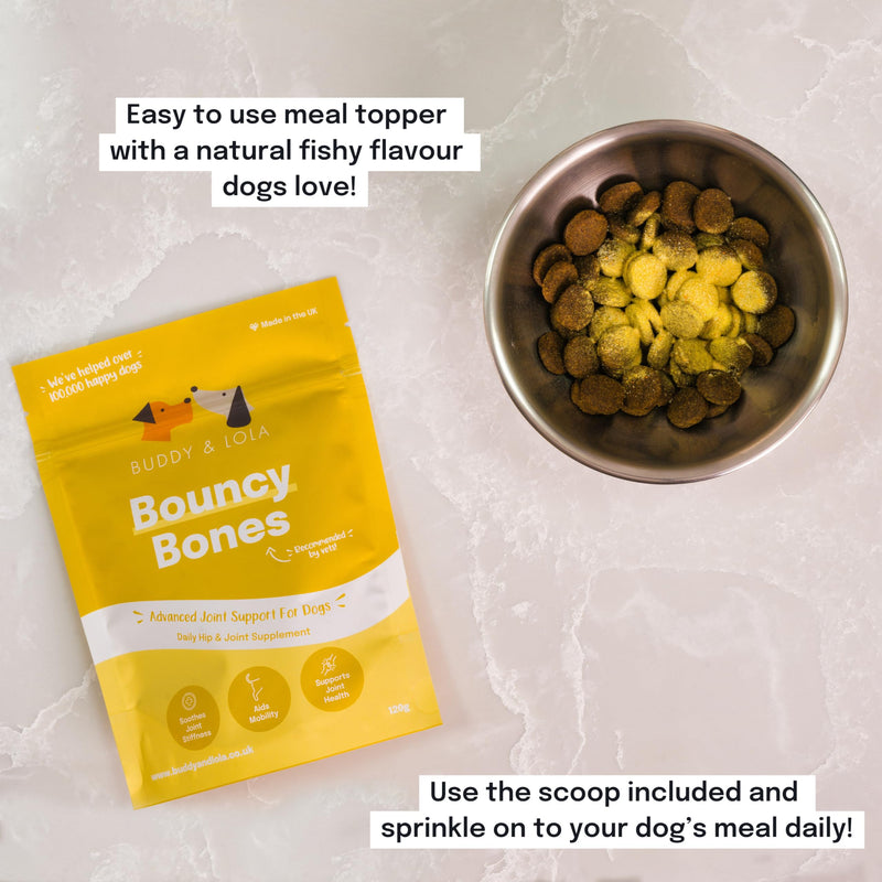 Buddy & Lola Joint Supplements For Dogs With Glucosamine, Chondroitin, Green Lipped Mussel - 10 Key Dog Vitamins, Bouncy Bones Helps with Pain Relief, Joint Support & Stiff Joints 120 g