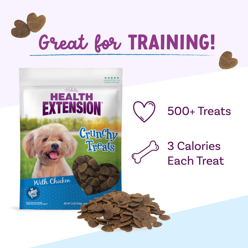 Health Extension Heart-Shaped Crunchy Biscuits, 12oz (340g) – Chicken Flavor, GMO-Free Dog Training Treats for Small Breeds, Added Vitamins & Minerals 12 Ounce (Pack of 1)
