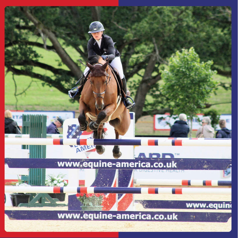 Equine America Pro-Pell Plus | Premium Ready To Use Horse & Pony Supplement | For Energy & Sound Health, 5 Litre 5 l (Pack of 1)