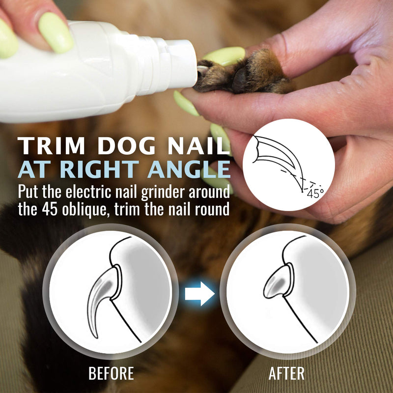 REXIPETS Cat and Dog Nail Grinder - Rechargeable Electric Pet Nail Clipper & Trimmer- Painless Paws Grooming - Quiet 2-Speed Motor. 3 Size Ports for Small, Medium, Large Pets- Up to 4 Hours of Charge - BeesActive Australia