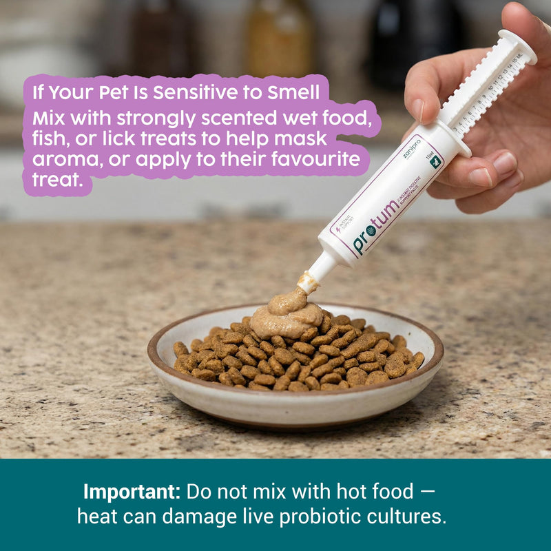 Probiotics for Cats Paste 15ml, Cat Diarrhea Treatment - New Formula for Easy Dispensing, Advanced Prebiotic, Diarrhea Relief, Restore Digestion, Loose Stools & Gut Balance - Catnip Flavoured
