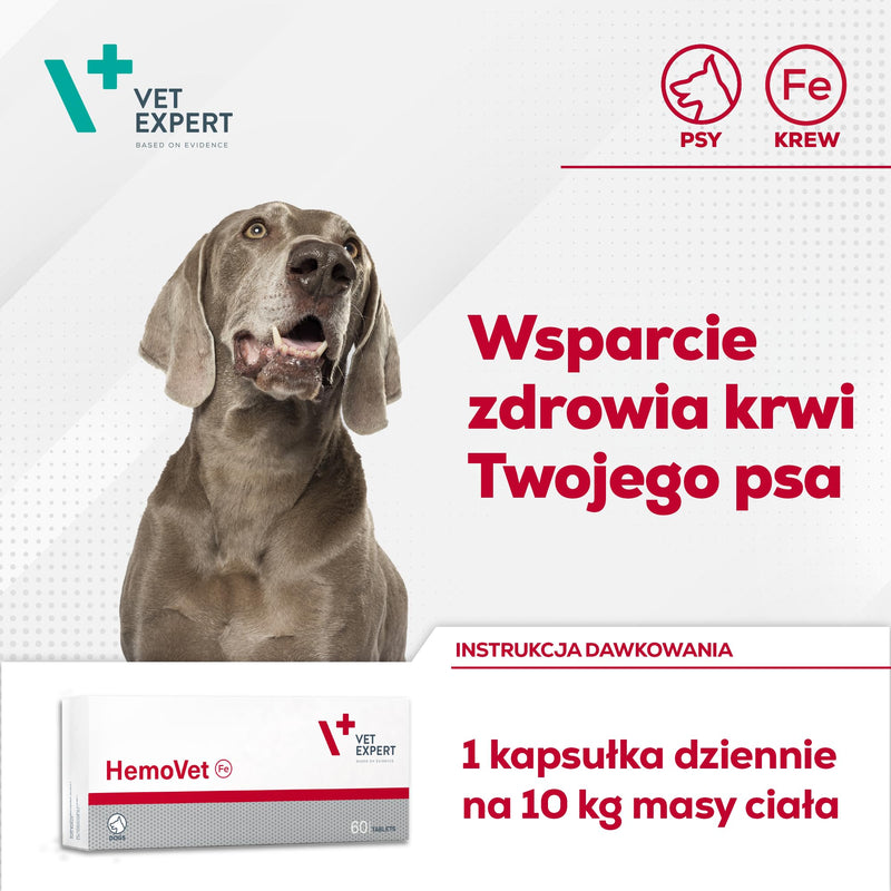 Vet Expert Hemovet Iron Supplement for Dogs – Supports Healthy Blood Cells and Hematopoietic Function, Essential Vitamins & Minerals – 60 Tablets