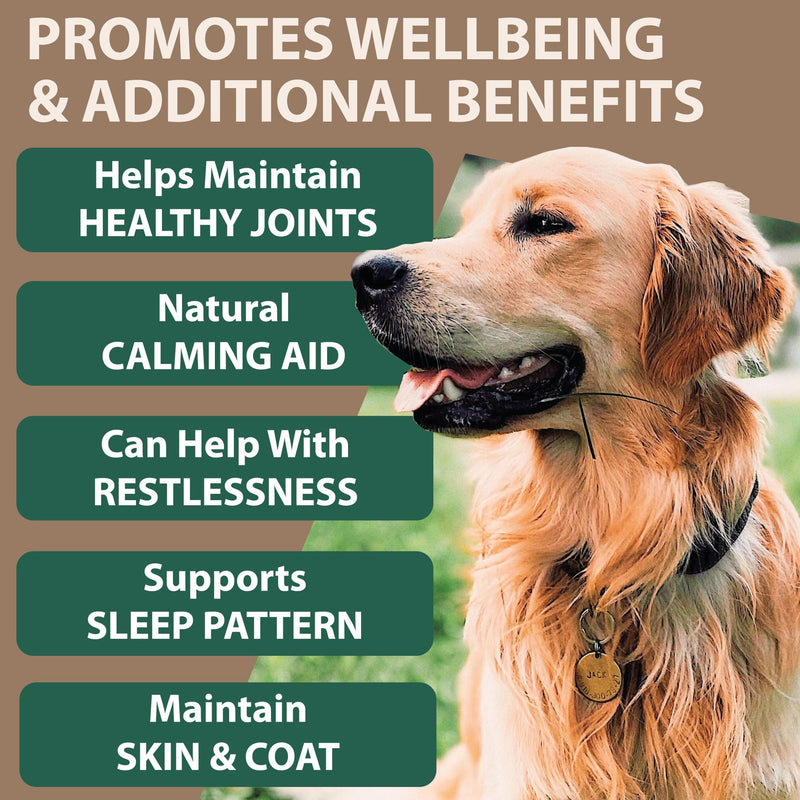 Hemp Oil for Dogs, Cats - Natural Calming Aid Omega Vitamins Rich Supplement Drops for Pets, Hip Joint, Valerian Skullcap Alternative - 100 ml 100ml