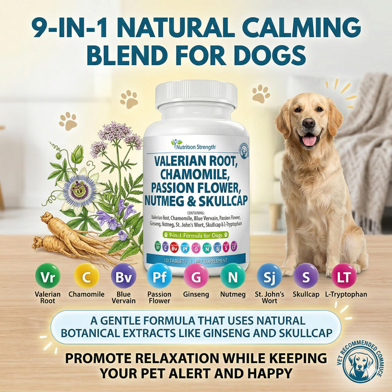 9-in-1 Valerian Root for Dogs 200mg, Chamomile 160mg, Blue Vervain, Passion Flower, Ginseng, Nutmeg, St John's Wort, L-Tryptophan for Dog Stress Relief & Calming, 120 Tablets