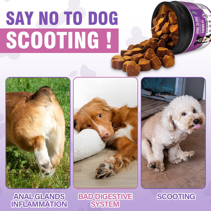 Dog Anal Gland Soft Chews 150 Stop Scoot for Dogs Supports Anal Gland Bowel Function Digestive Health Fiber Pumpkin Supplement for Dogs Pet Diarrhea Bowel Support Probiotics Digestive (Chicken Flavor) Chicken - BeesActive Australia