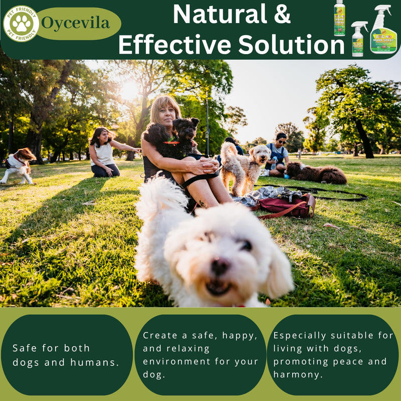16oz Dogs No Wrong Pee Spray - Dog Training Solution for Housebreaking - No Marking Indoor Solution - Housebreaking Aid - No Pee No Mark Spray 18.6 Fl Oz