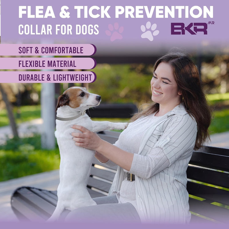 Flea Collar for Dogs 2 Pack 16 Months Protection Natural Flea and Tick Prevention for Dogs, One Size Fits for All Dog Flea Collar - BeesActive Australia