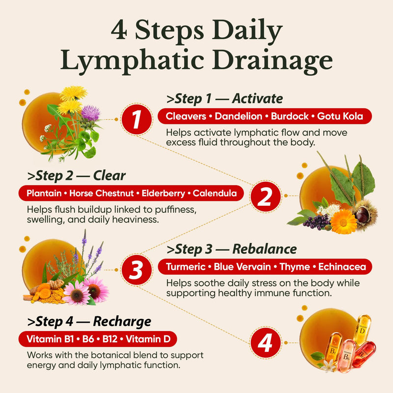 Venture Pal 16-in-1 Lymphatic Drainage Drops - 120 Servings - Echinacea, Dandelion & Vitamins, Alcohol-Free, 4 fl oz