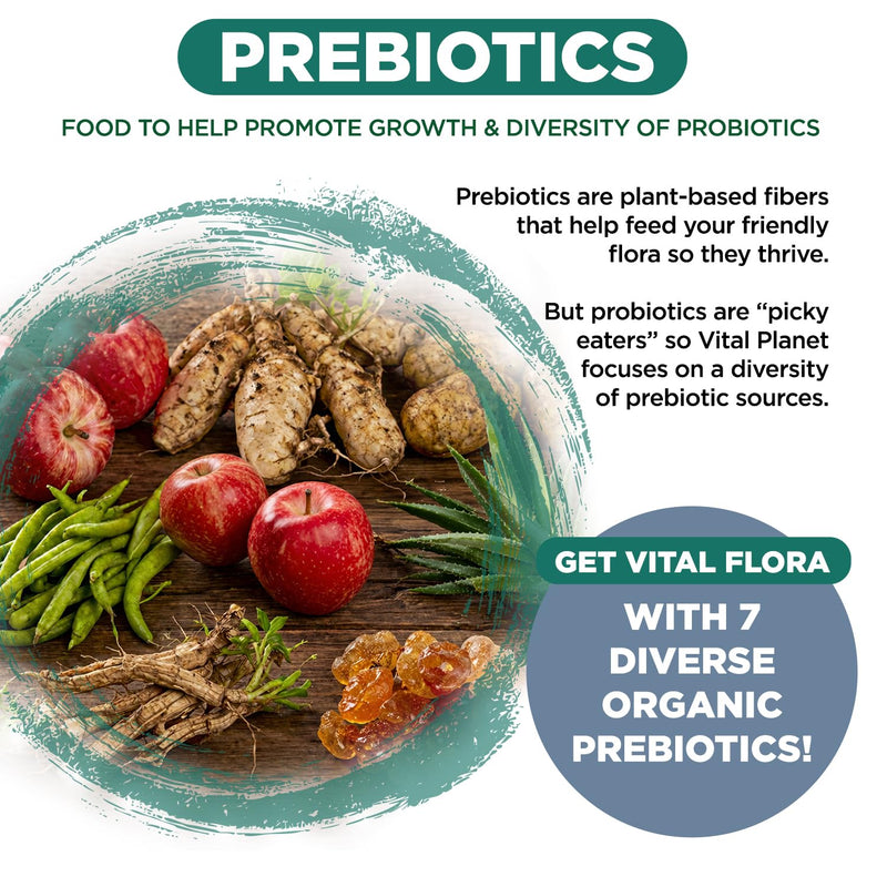 Vital Planet - Vital Flora Men Over 55 Daily Probiotic, 60 Billion CFU, Diverse Strains, Organic Prebiotics, Immune Support, Digestive Health Shelf Stable Probiotics for Men, 30 Capsules