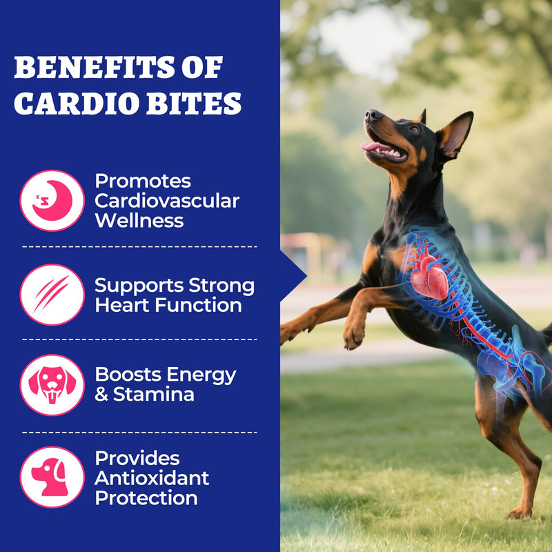 Wellix 260g Cardio Taurine for Dogs - Heart Supplements for Dog Chews with CoQ10,Fish Oil,L-Carnitine - Senior Heart Health and Cardiovascular & Antioxidant Support