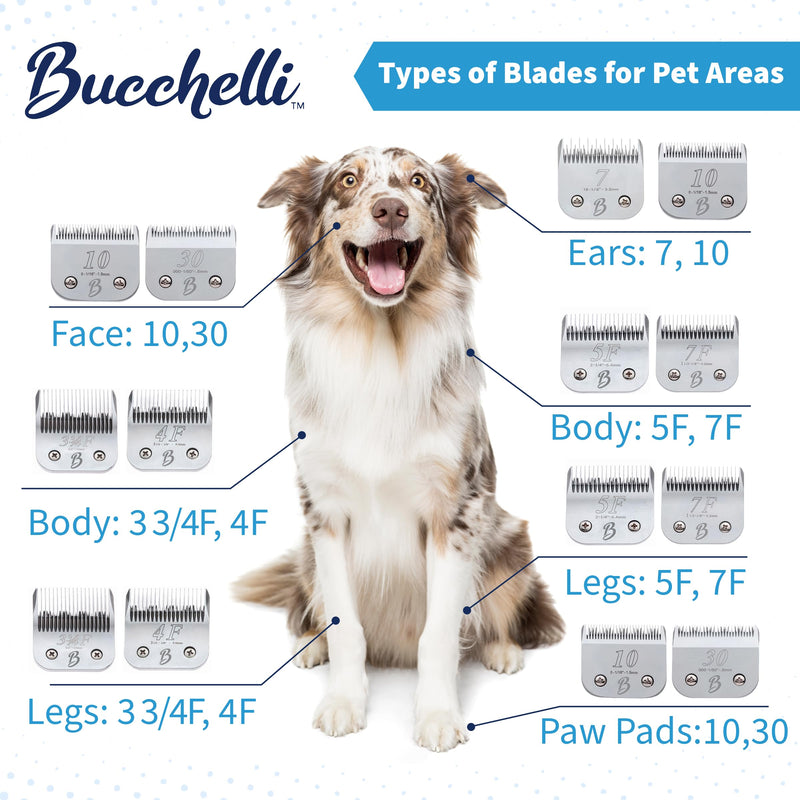 Detachable A Series 30 Blades for Dog Grooming Cuts 1/50" - 0.5mm Japanese High Carbon Steel Dog Clipper Blades & 30 Blade Dog Grooming (Compatible A5 Series Clippers for Dogs Cat (B30) 30 (1/50" - 0.5mm) - BeesActive Australia