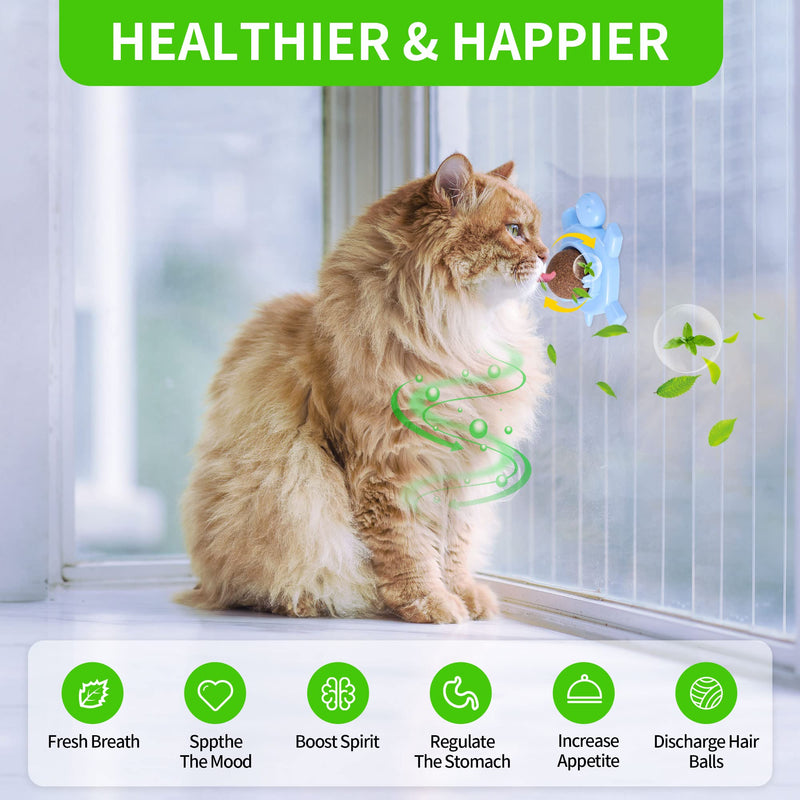 Catnip Ball ‖ Catnip Balls for Cats Wall: silvervine for Cats, 3-Piece Silvervine Catnip Cat Toys for Indoor Cats, Edible Cat nips Organic Ball, Cute Silvervine Cat Toy - BeesActive Australia