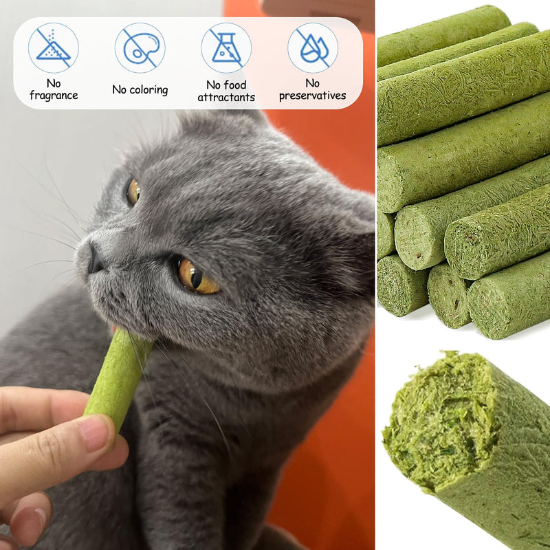 HavenJanny 50g Cat Grass Teething Stick, Freezed Drying Cat Grass Sticks Snacks for Cats, Edible Cat Treats for Teeth Cleaning and Hairball Removal - BeesActive Australia