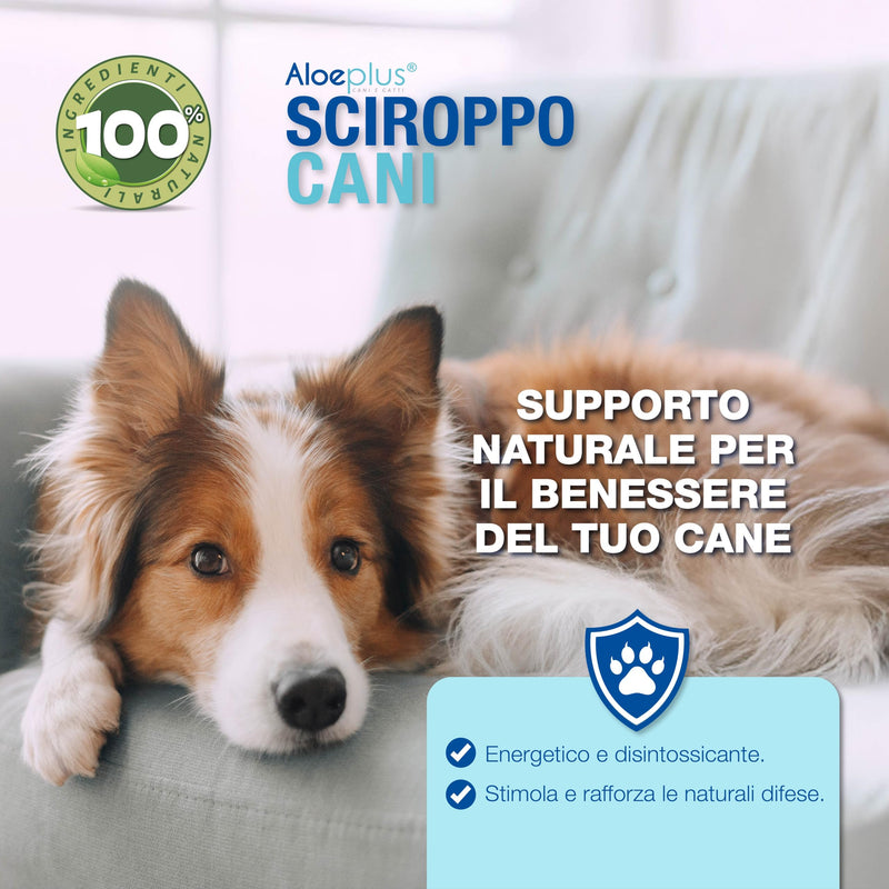 Dogs Syrup 250ml - Energy-Boosting, Detoxifying Complementary Food Made with Organic Aloe Arborescens, Strengthens Natural Defenses, Ideal as a Tonic for Senior Dogs and Puppies