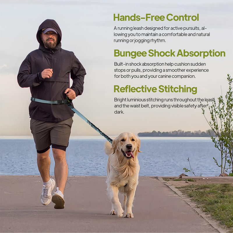 Hands Free Dog Leash with Zipper Pouch, Waist Leash for Dog Walking, Running and Hiking, Adjustable Belt with Handle, Reflective Bungee Design for Large & Medium Dogs Yellow