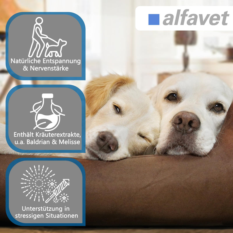 alfavet CaniGum Relax Chew Drops for Dogs (120 g) – Calming Supplement – With L-Tryptophan, B Vitamins, Magnesium & Herbal Blend
