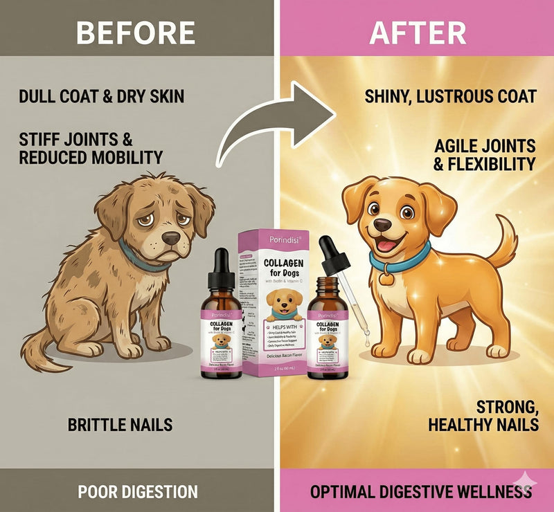 Liquid Collagen for Dogs - High Strength Marine Collagen Drops for Joint Support & Mobility - Advanced Dog Joint Supplements with Vitamins - Itchy Skin Relief & Glossy Coat Care - Easy to Absorb