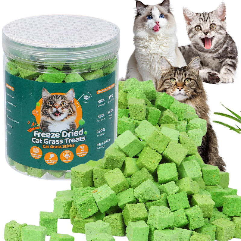 100g Freeze-Dried Cat Grass Treats, Natural Hairball Treatment for Cats, Edible Cats Chew Toy Cat Treats Snack for Teething Cleaning Hairball Removal 3.53 Ounce (Pack of 1)