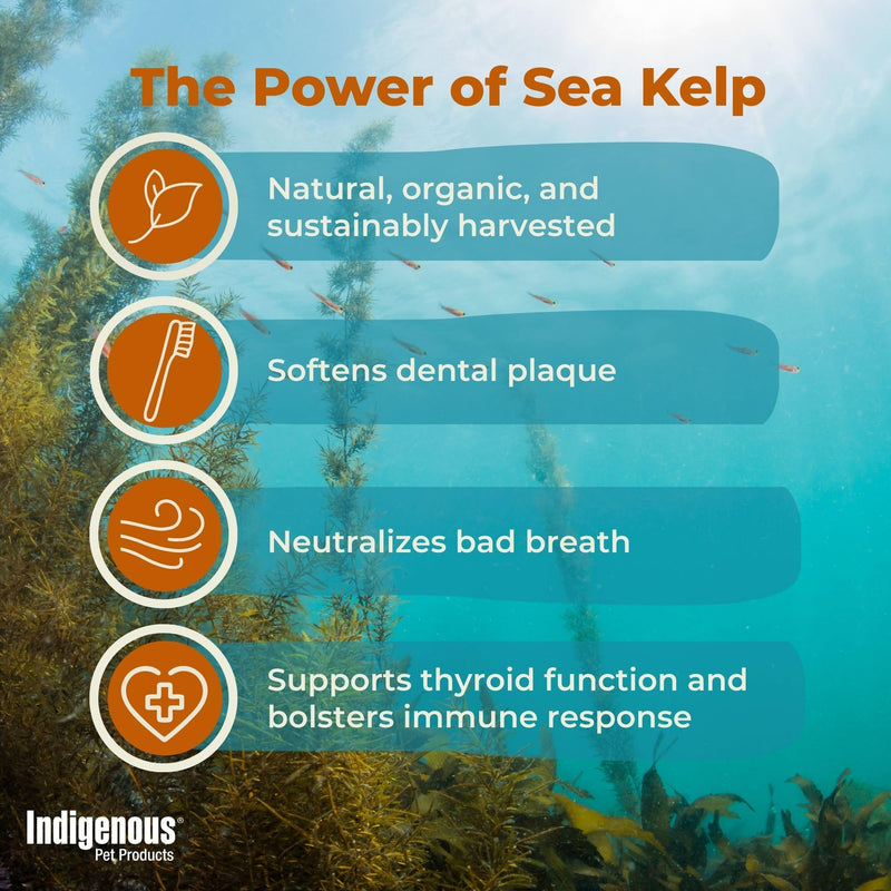 Indigenous Pet Organic Sea Kelp Flakes for Cats - 2.54 Ounce | Natural Dental Care & Fresh Breath Support | Reduces Plaque & Tartar | Boosts Immune, Digestive & Thyroid Health Cat